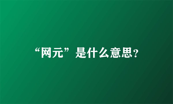 “网元”是什么意思？