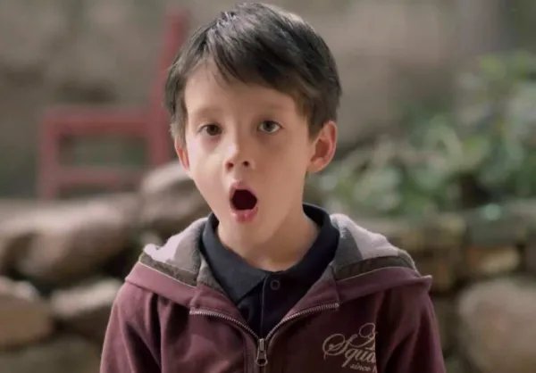 丁佳明是中美混血吗