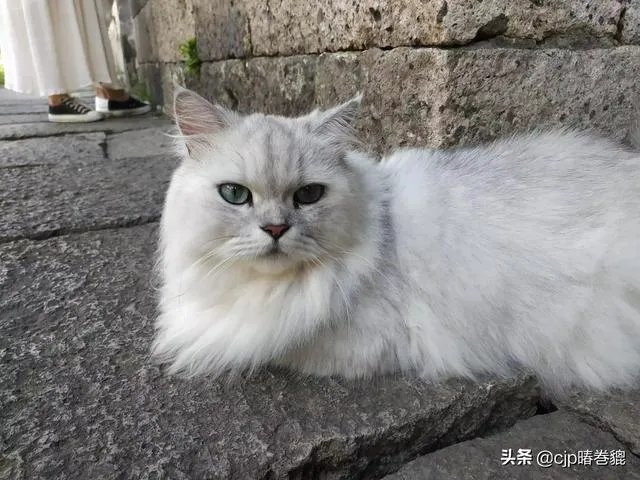 杭州周边一日游都有哪些好玩的选择？