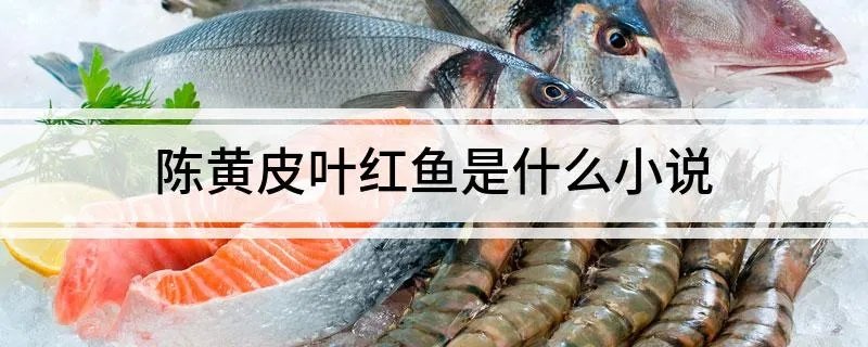 陈黄皮叶红鱼是什么小说