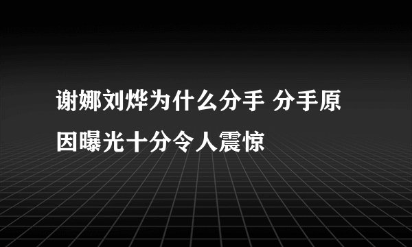 谢娜刘烨为什么分手 分手原因曝光十分令人震惊