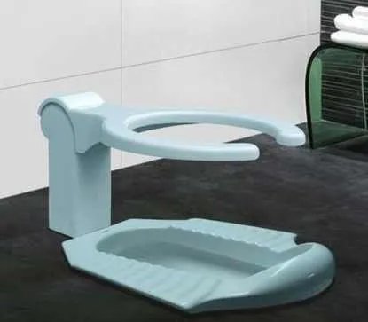 老妈要蹲便，老婆要坐便，于是买了蹲坐两用马桶