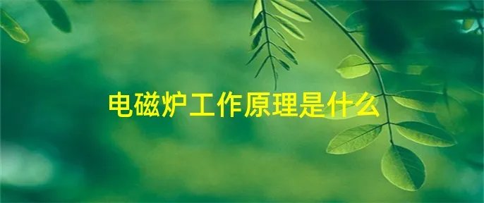 电磁炉工作原理是什么