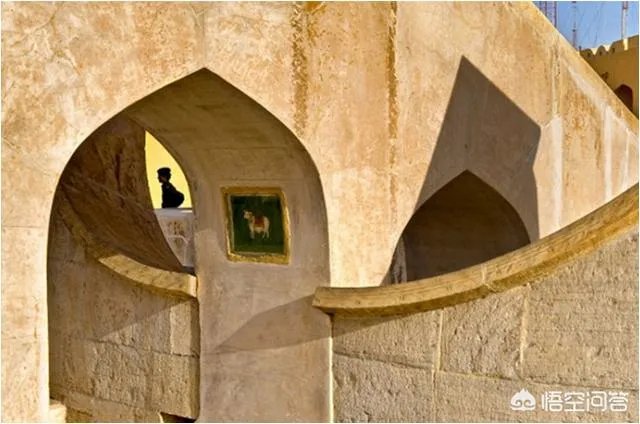 小白怎么学习摄影？