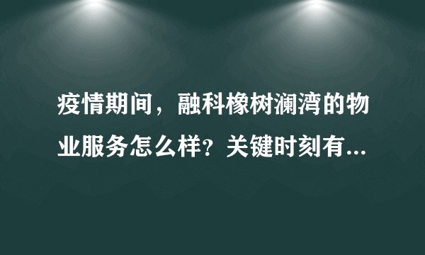 疫情期间，融科橡树澜湾的物业服务怎么样？关键时刻有什么行动吗？