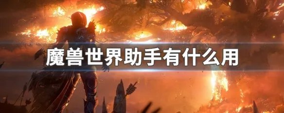 魔兽世界助手有什么用