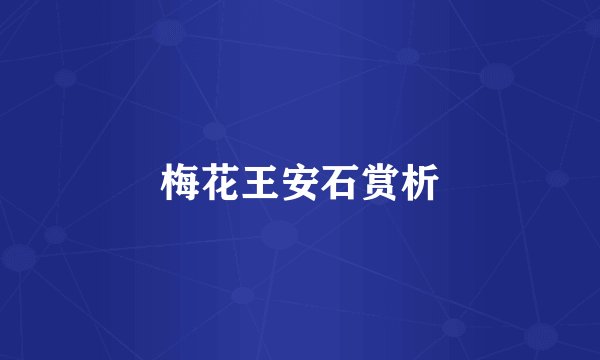 梅花王安石赏析