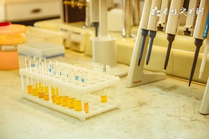 握力器怎么用 握力器有什么用