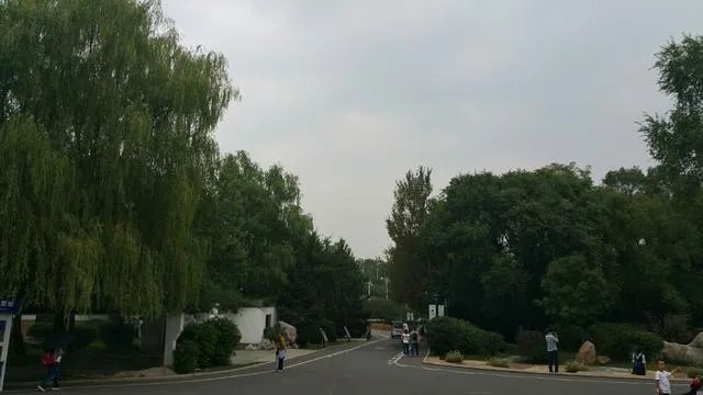 沈阳世博园怎么样?