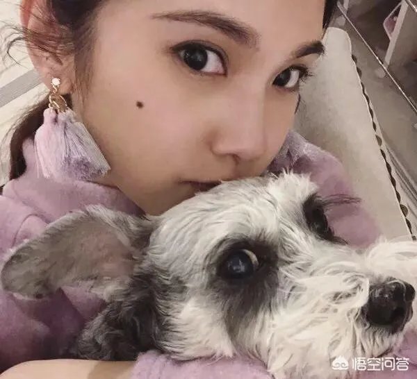 为什么有网友说杨丞琳是逆龄生长？