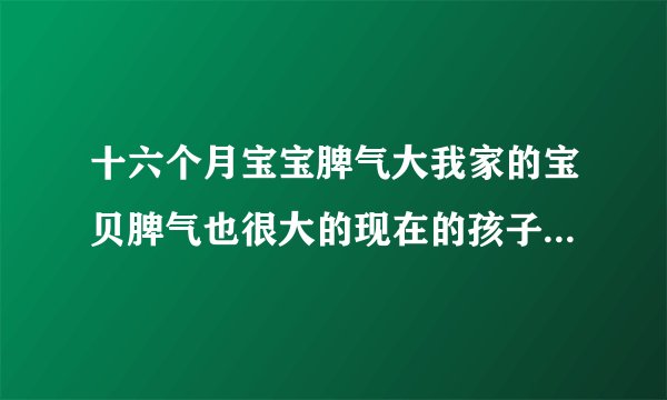 十六个月宝宝脾气大我家的宝贝脾气也很大的现在的孩子都是随父母