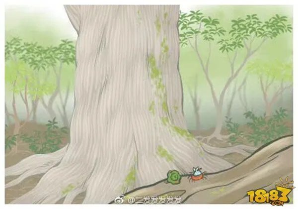 旅行青蛙写真大全 旅行照片寄语全收录