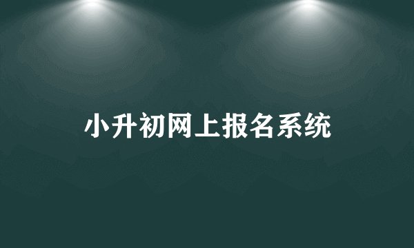 小升初网上报名系统