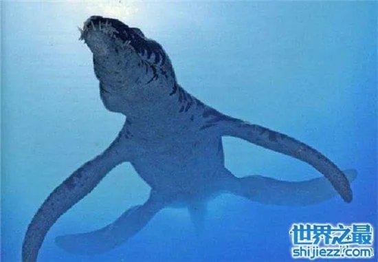 伊西斯龙王鲸是一种远古生物，曾是海洋中的霸主 