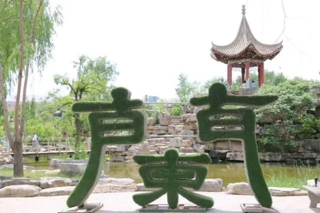 美国病例168万，死亡近10万，下个国家是巴西，还是印度？