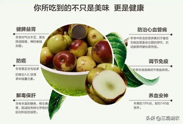 现在冬枣价格多少钱一斤？南方种植冬枣的前景如何？