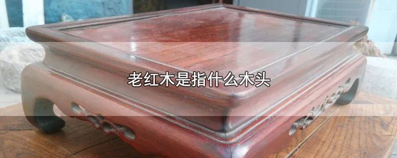 老红木是指什么木头