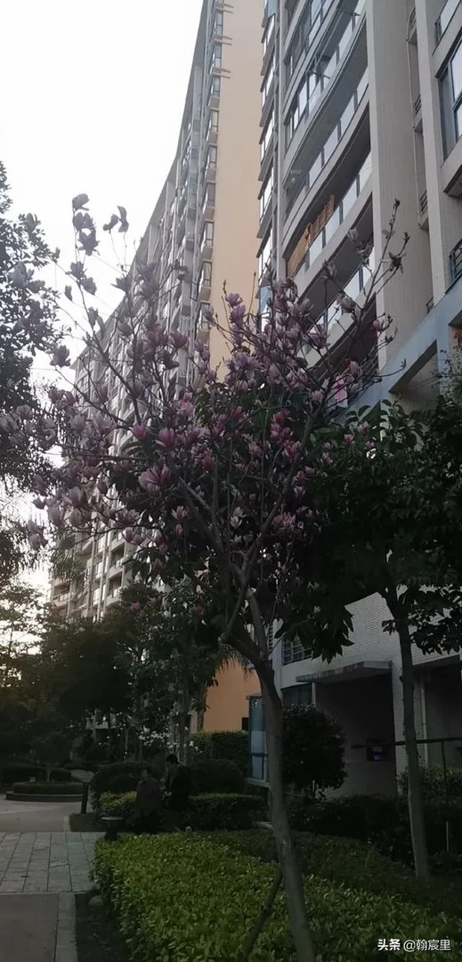 意大利确诊人数已接近1万，距离2万需要多长时间？