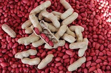 松原有哪些特产？