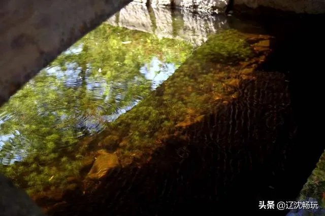 沈阳世博园怎么样?