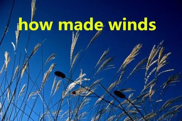 how made winds什么梗？