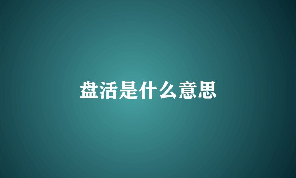 盘活是什么意思