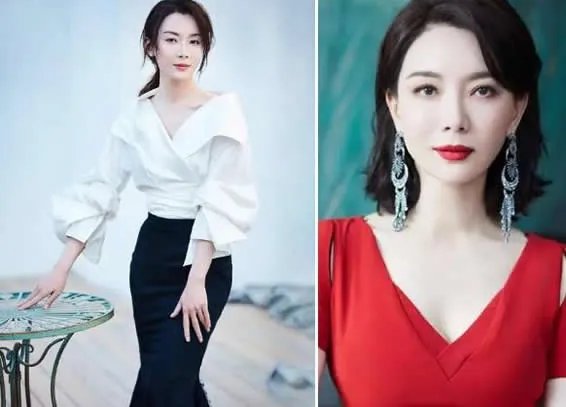 陈数的老公是谁啊及资料 为什么说陈数不能生育