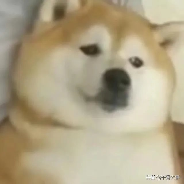 北京爆发新一轮病毒的地名叫做“新发地”市场，这说明了什么？