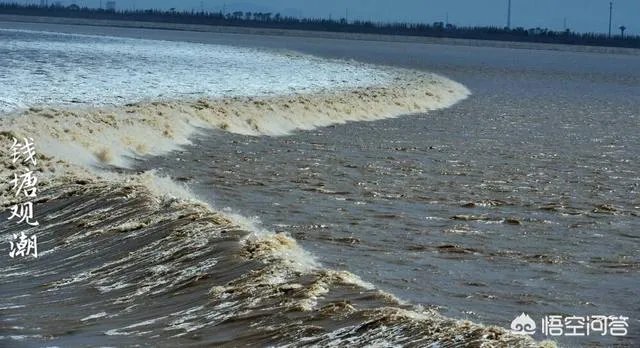 杭州周边一日游都有哪些好玩的选择？