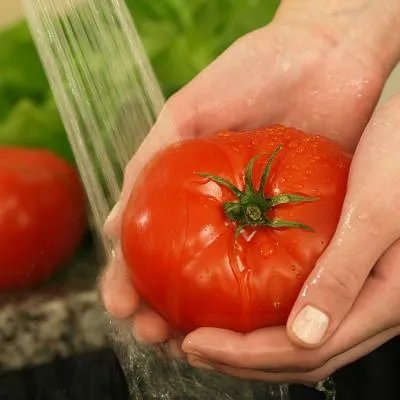 土豆长芽了还能吃吗