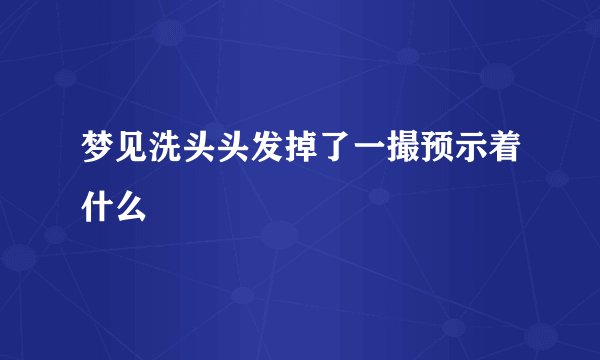 梦见洗头头发掉了一撮预示着什么