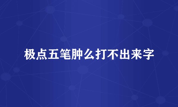 极点五笔肿么打不出来字