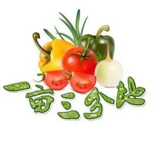 一亩三分田是什么意思