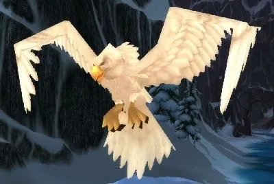 魔兽世界wlk猛禽在哪抓