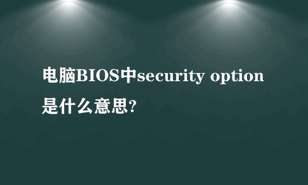 电脑BIOS中security option是什么意思?