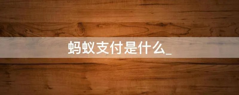 蚂蚁支付是什么_