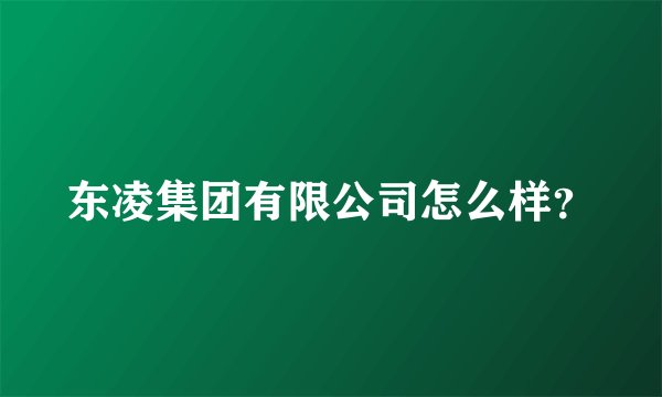 东凌集团有限公司怎么样？