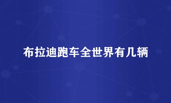 布拉迪跑车全世界有几辆