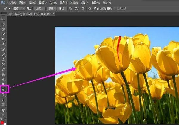 利用编码的方法进行二维裁剪时有哪些判断规则