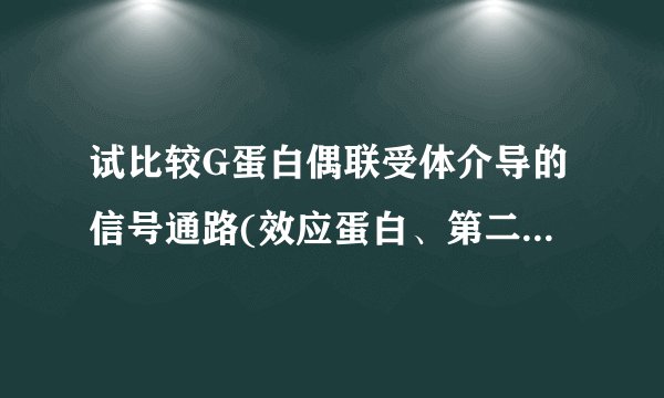试比较G蛋白偶联受体介导的信号通路(效应蛋白、第二信使、生物学功能)。 请帮忙给出正确答案和分析，谢谢！