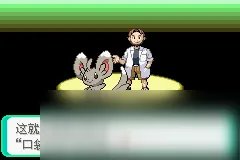 口袋妖怪漆黑的魅影4.5完美版攻略大全（全）