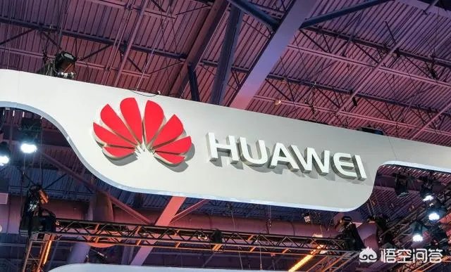 任正非在华为属于什么级别