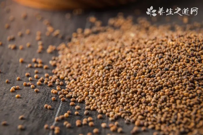 18年鼠的运势，属鼠人在2018年运势及运程如何