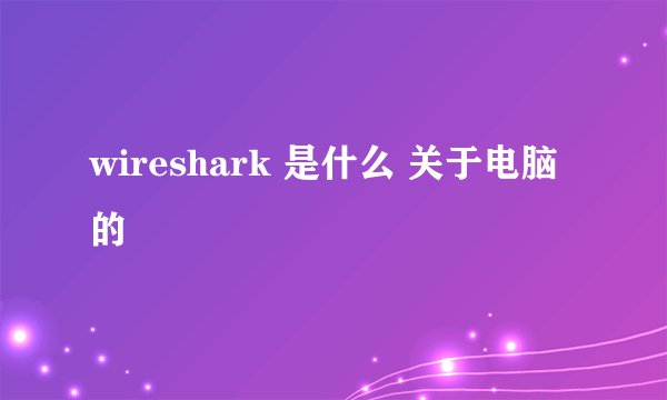 wireshark 是什么 关于电脑的