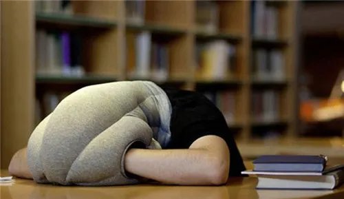 鸵鸟枕好不好 鸵鸟枕怎么使用