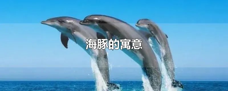 海豚的寓意