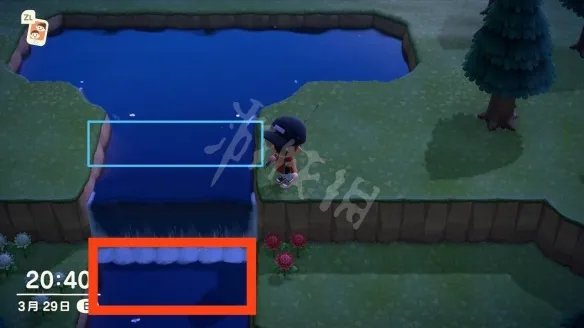 《集合啦动物森友会》金鳟怎么钓 金鳟钓法介绍