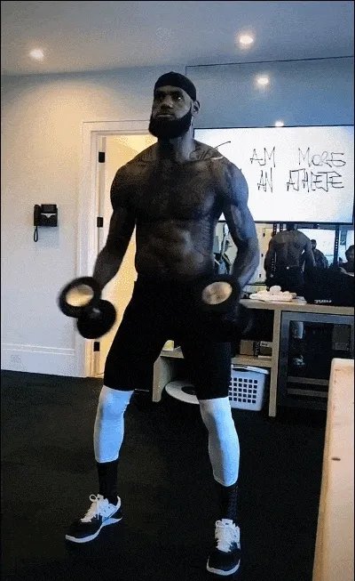 詹姆斯晒照凌晨5点半的洛杉矶起床开始训练，你怎么看？