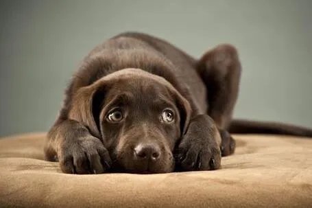 余悸什么意思？