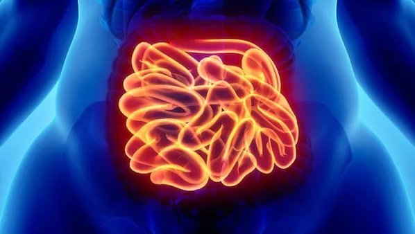 十二指肠炎严重吗